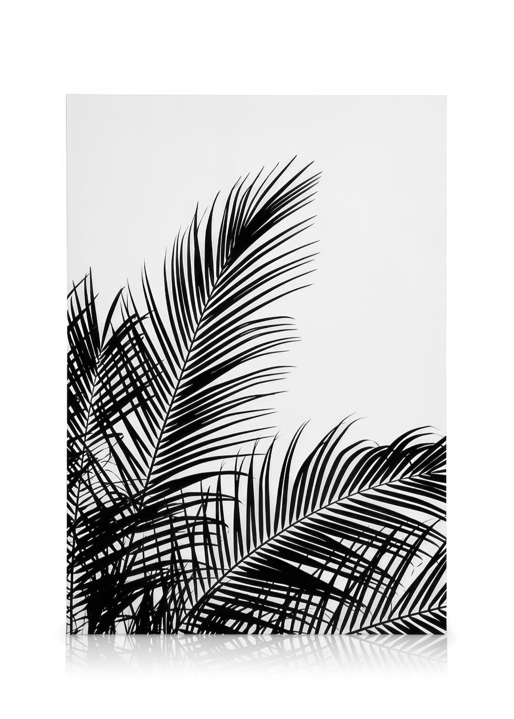 Black Palm Tree Two Canvas print