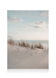 Dune Beach No1 Canvas print