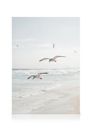Seagulls over the Ocean Canvas print