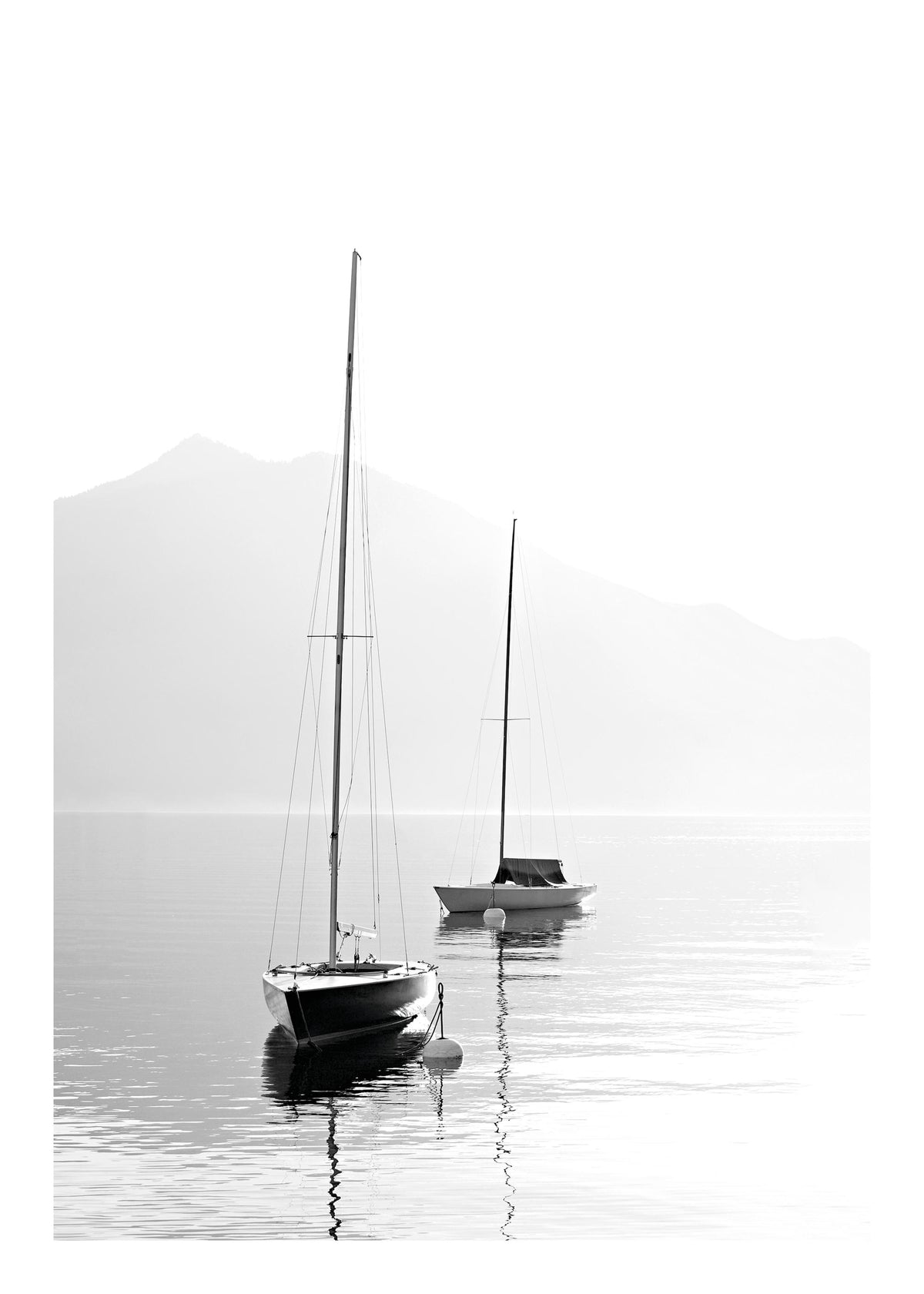 Still Bay, Print