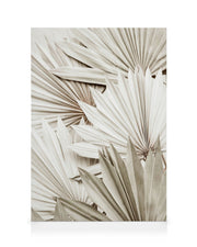 White Palm Canvas print