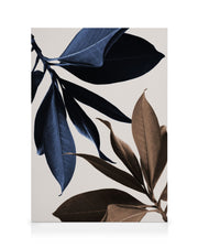 Blue Magnolia No1 Canvas print