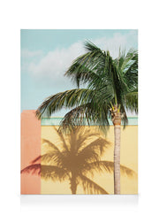 Sun-drenched Palm Canvas