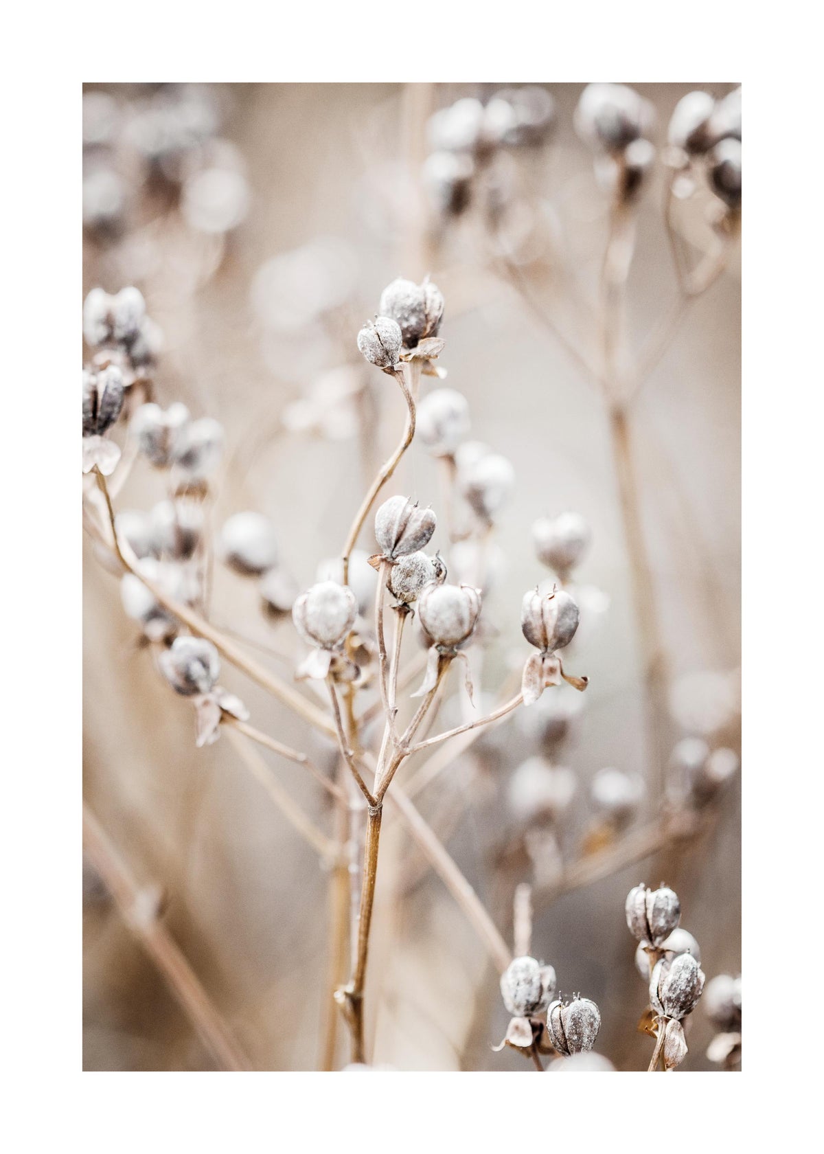 Autumn Nature Print