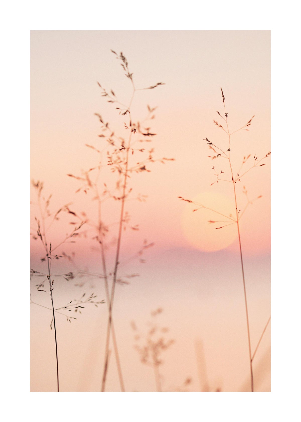 Pastel Sunset Print