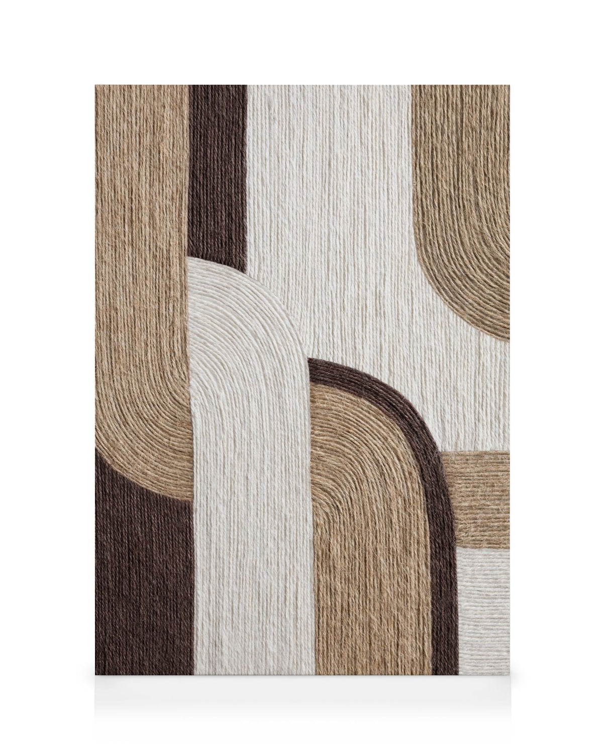 Twined Shapes Canvas print