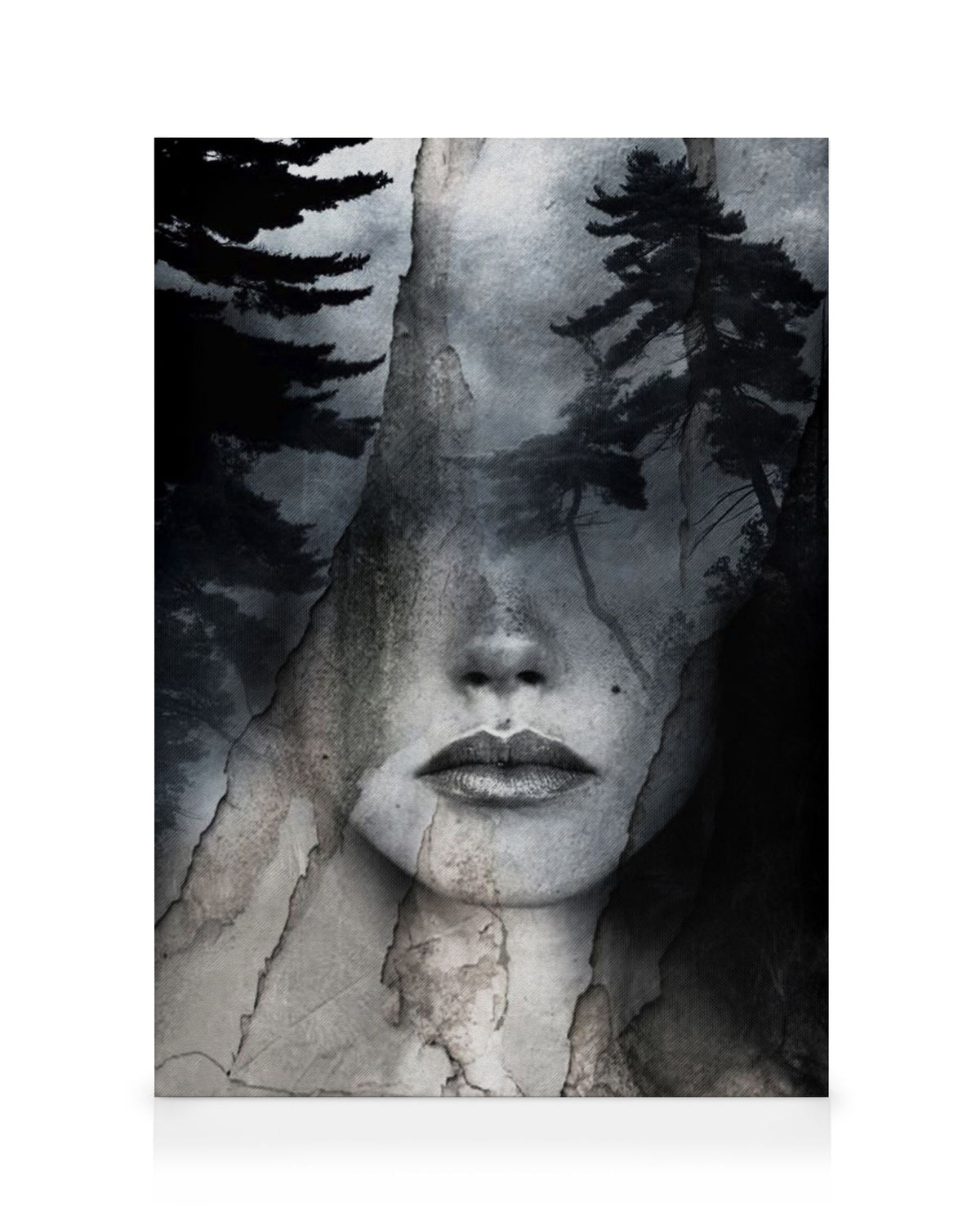 Complete Absence of Sound Canvas print