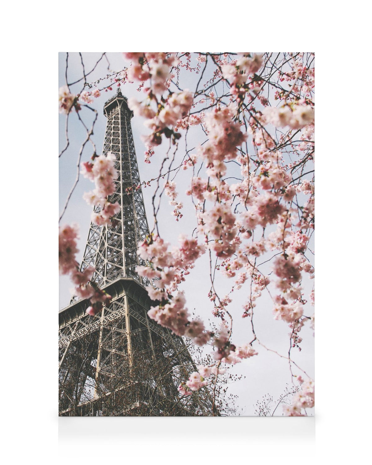 Blooming Paris Canvas print
