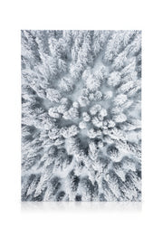 Snowy Trees Canvas print