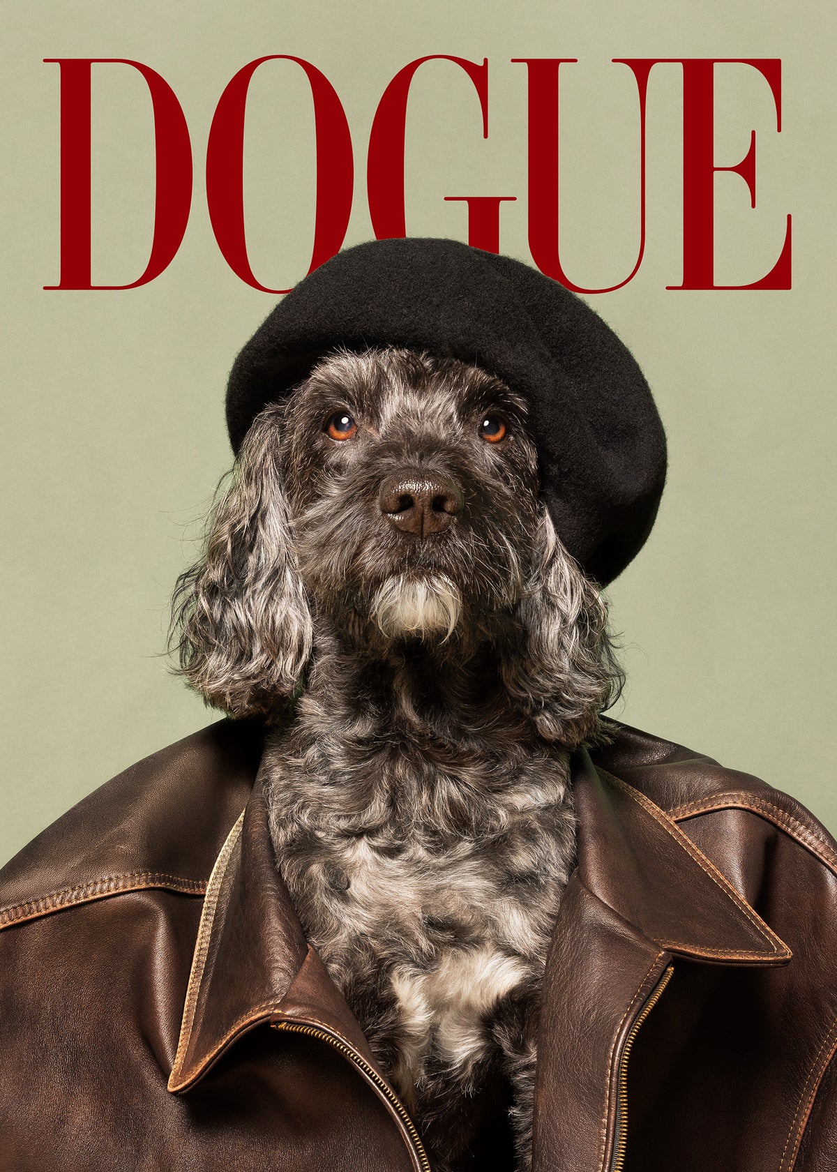 Dogue No4 Print