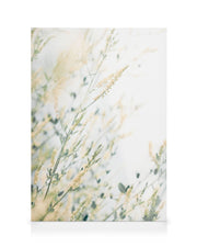 Light Floral Canvas print