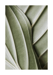 Organic Lines Print