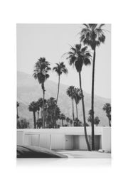 Desert House Canvas print