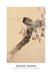 Ohara Koson - Pheasant on Cherry Blossom Branch Print