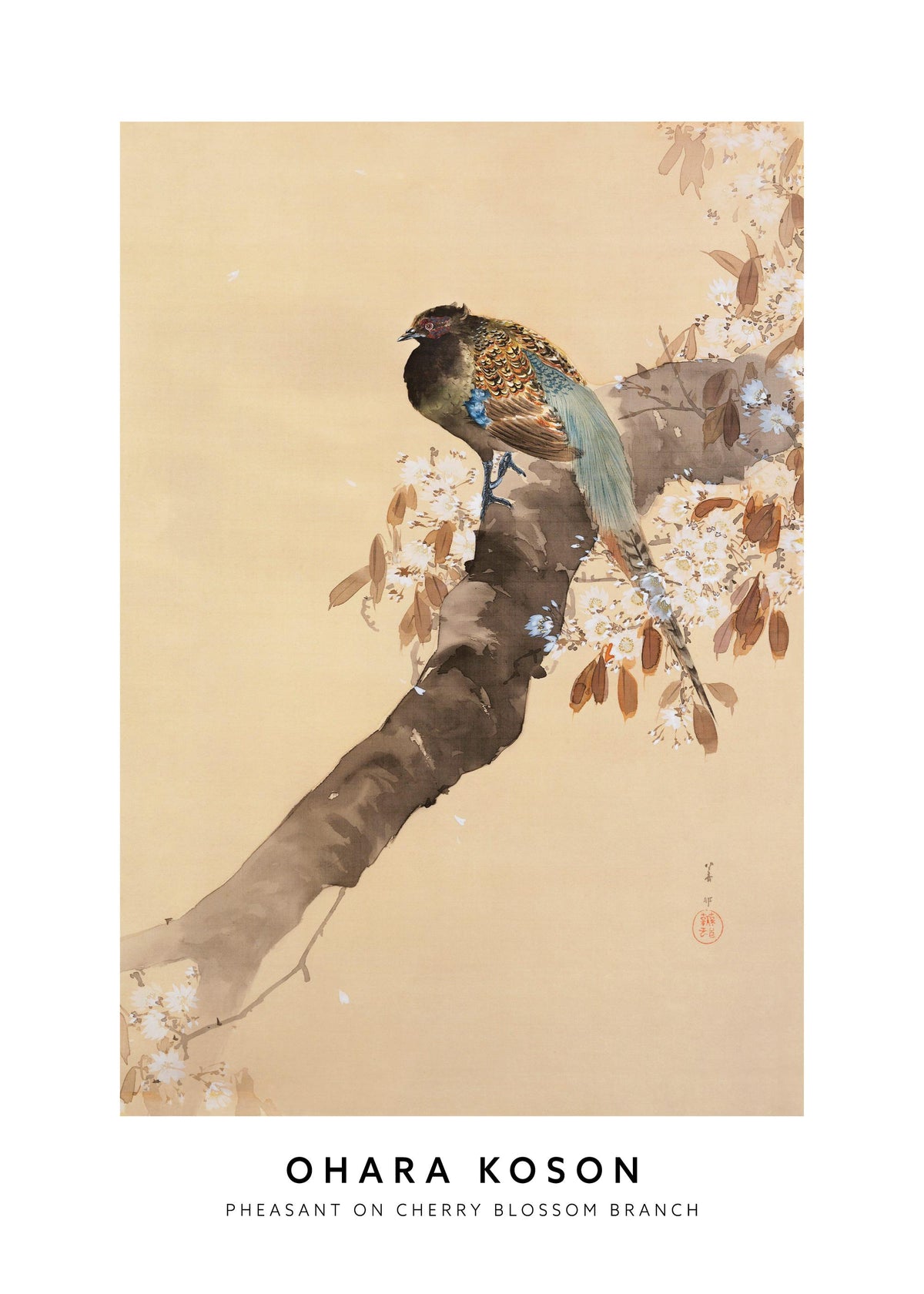 Ohara Koson - Pheasant on Cherry Blossom Branch Print