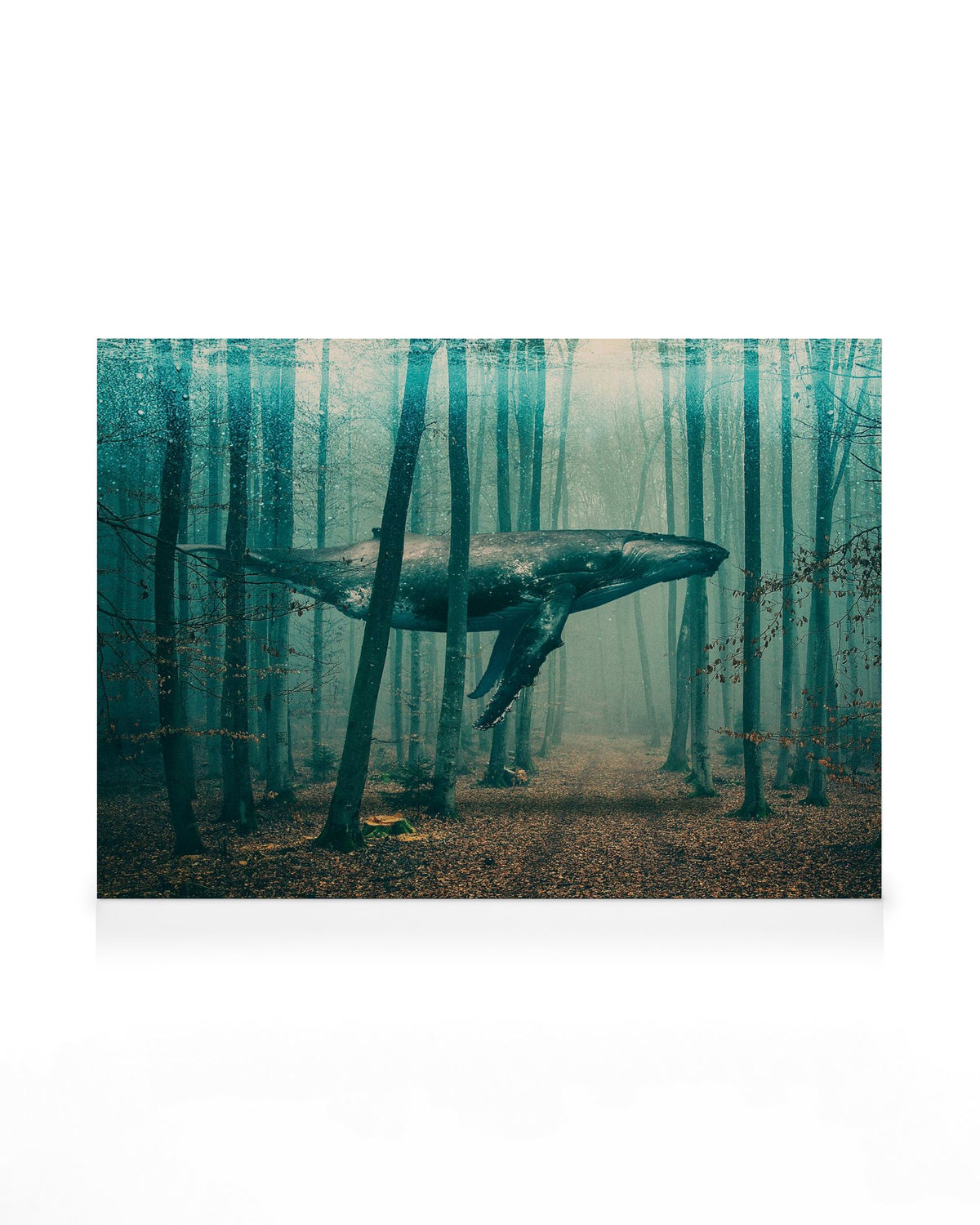 Whale in Forest Canvas print