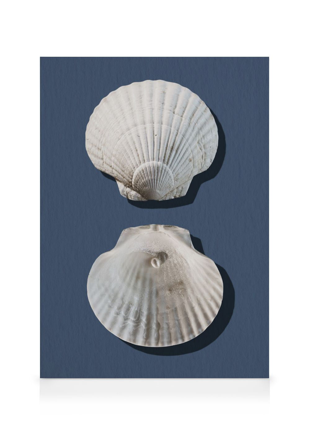 Sea Treasures Canvas print
