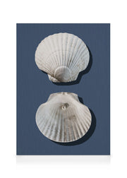 Sea Treasures Canvas print