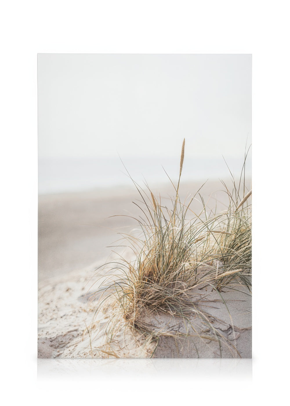 Dune Grass Canvas print