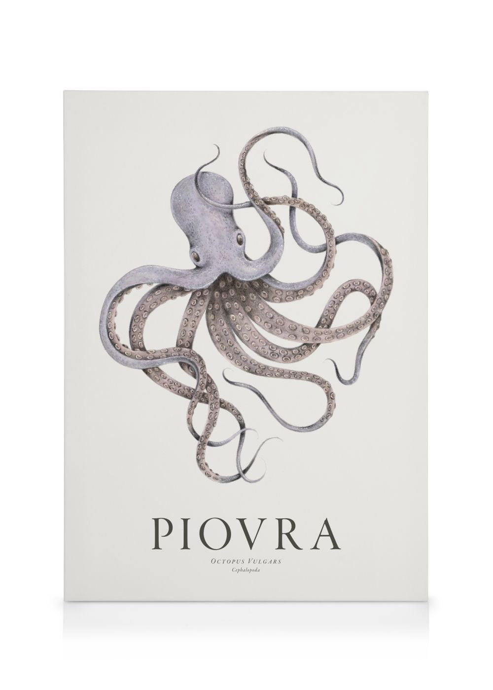 Piovra Canvas print
