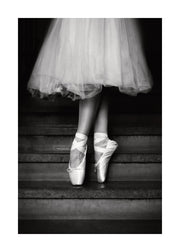 Ballet Shoes Print