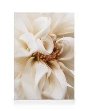 Warm Flower No1 Canvas print