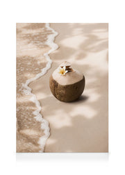 Coconut Breeze Canvas print