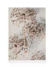 Autumn Allium Canvas print