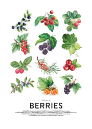 Berries, Prints