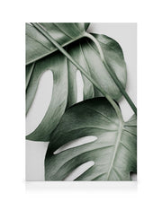 Monstera Pair Canvas print