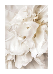 Dreamy Flower Close up Print