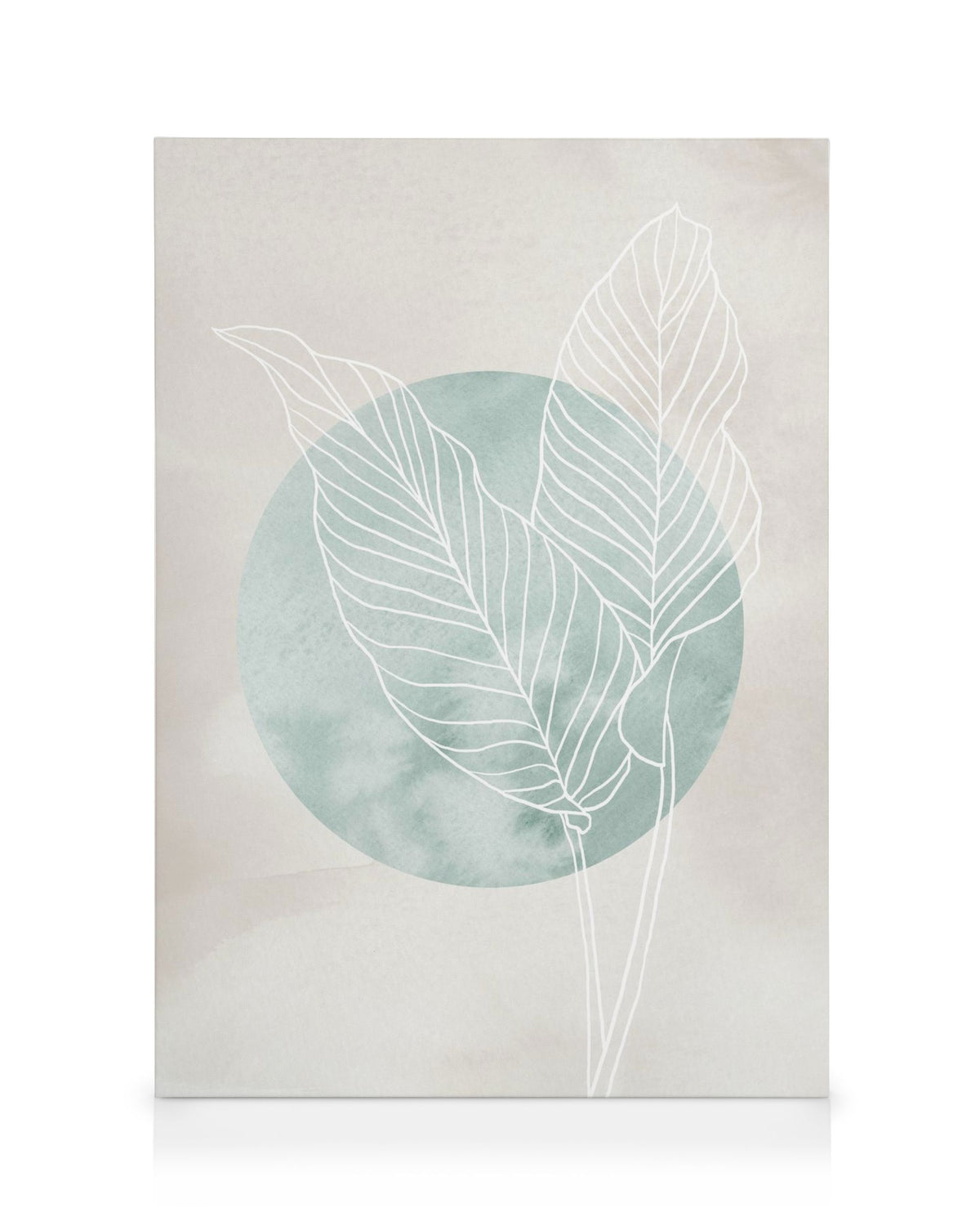 Calathea Line Drawing Canvas print
