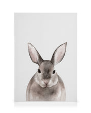 Little Rabbit Canvas print