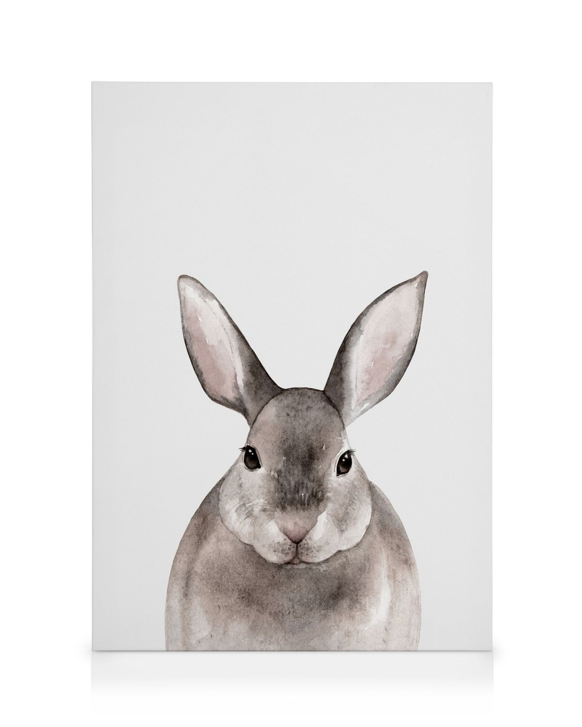 Little Rabbit Canvas print