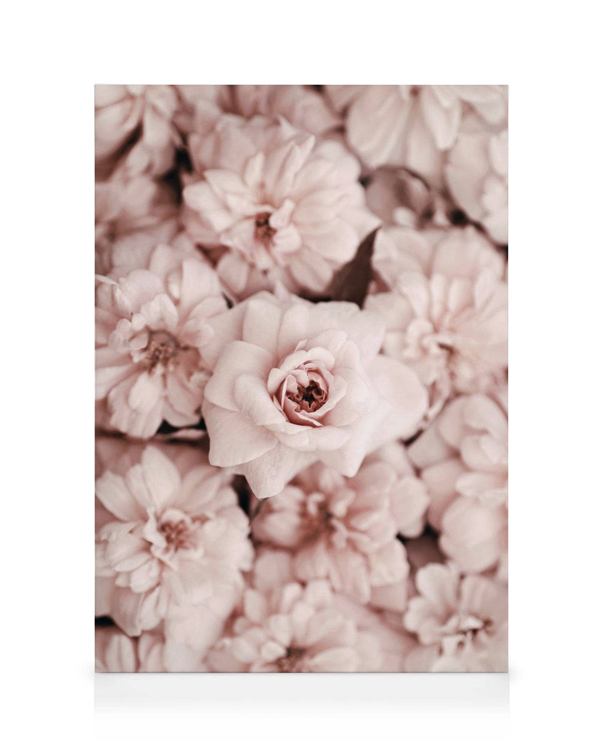 Bed Of Flowers Canvas print