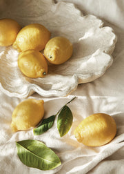 Lemons on a Plate Print