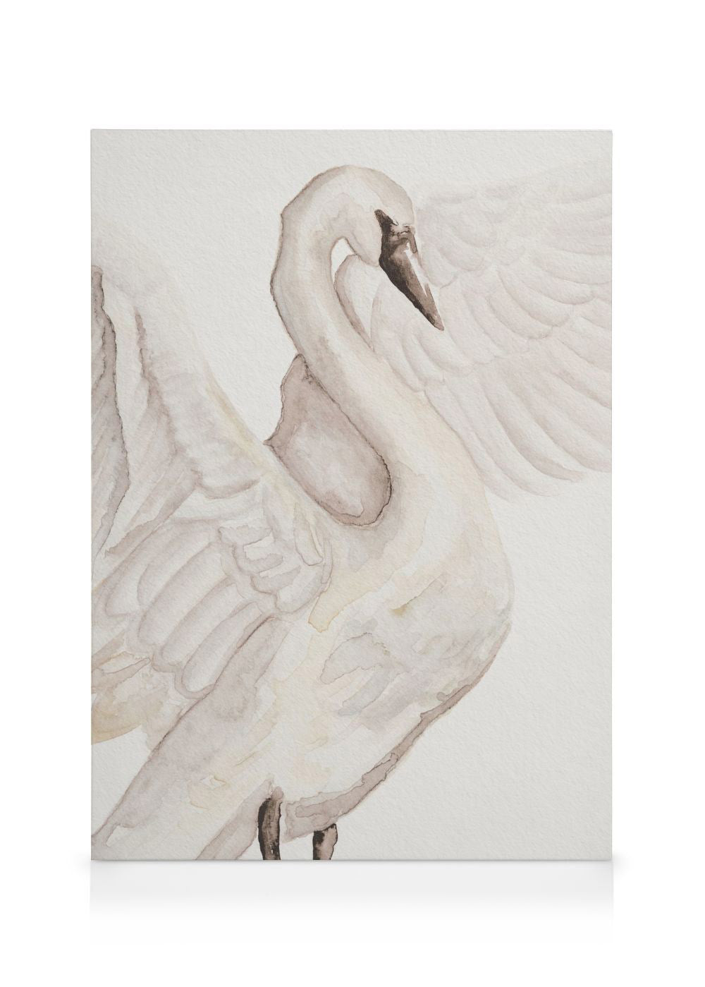 Watercolor Swan Canvas print