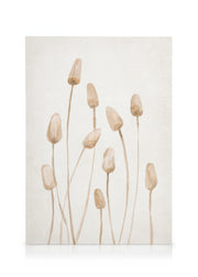 Watercolor Dried Plants Canvas print