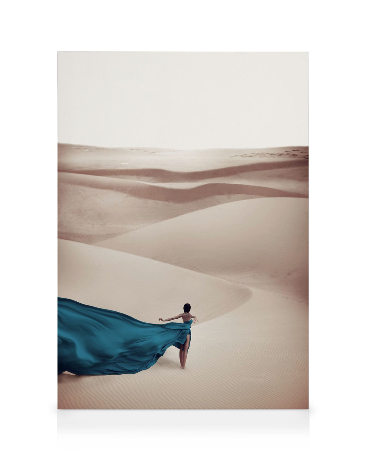 Woman in Blue Dress Canvas print