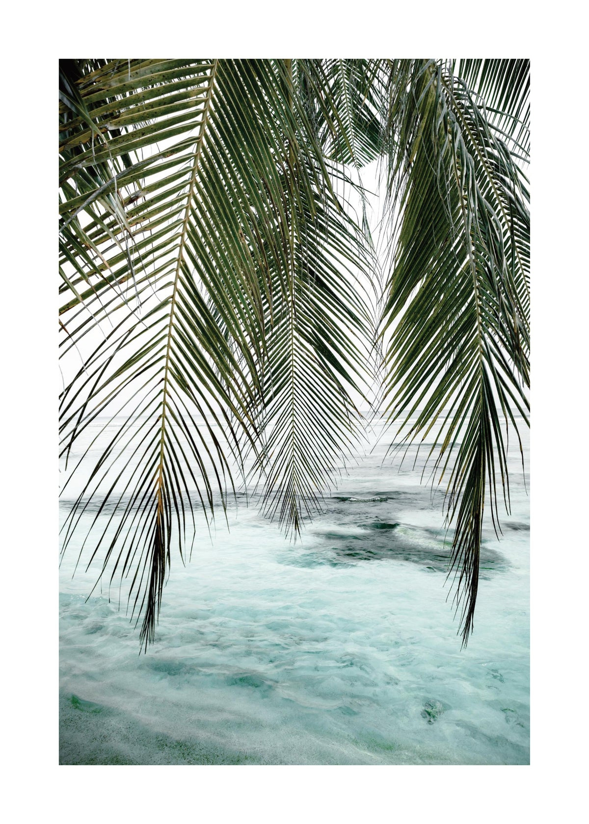 Ocean Palm Print