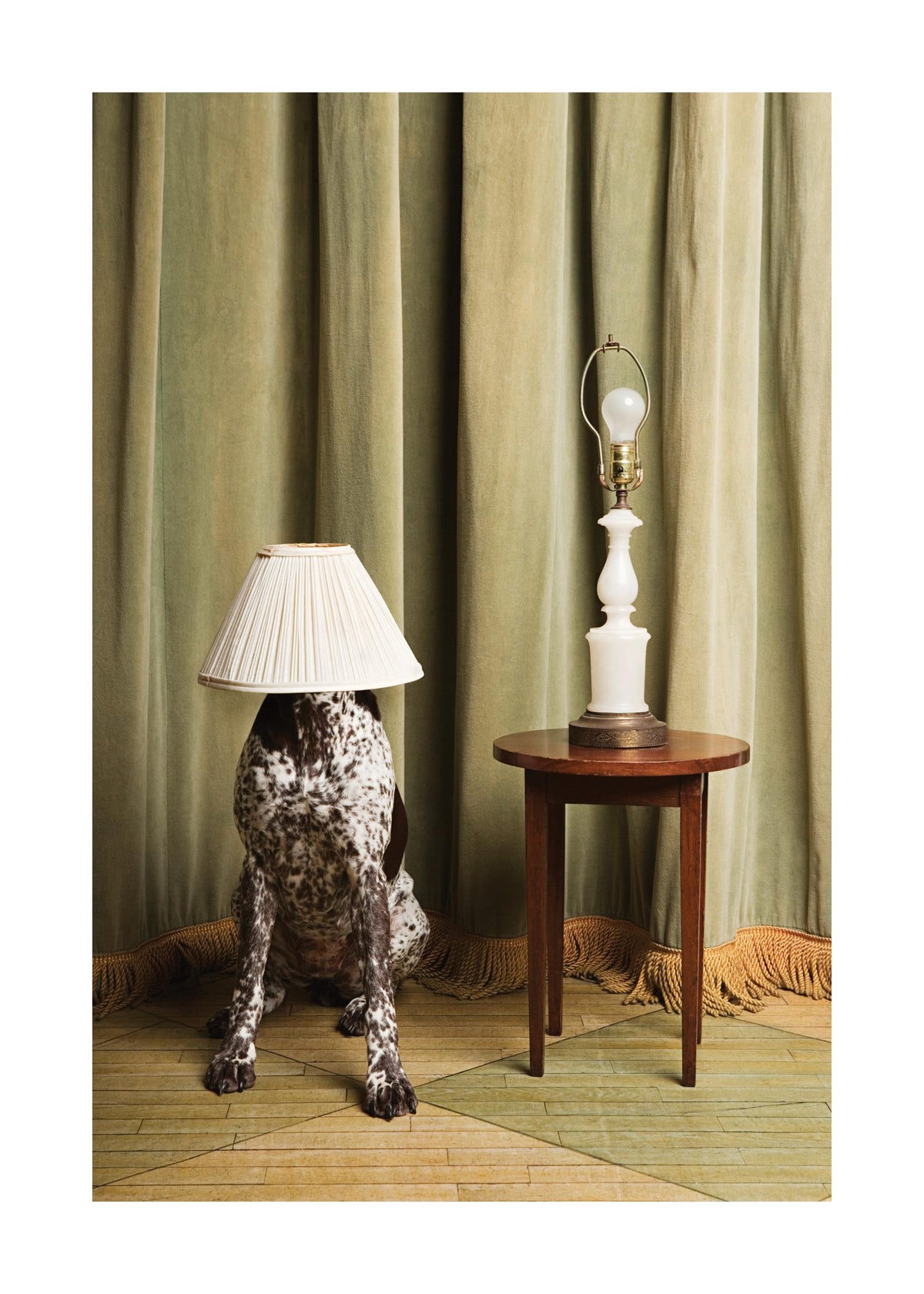 The Dog Lamp Print