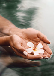 Thai Water Blossom Print