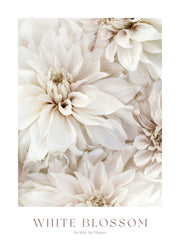 White Blossom No2 Print