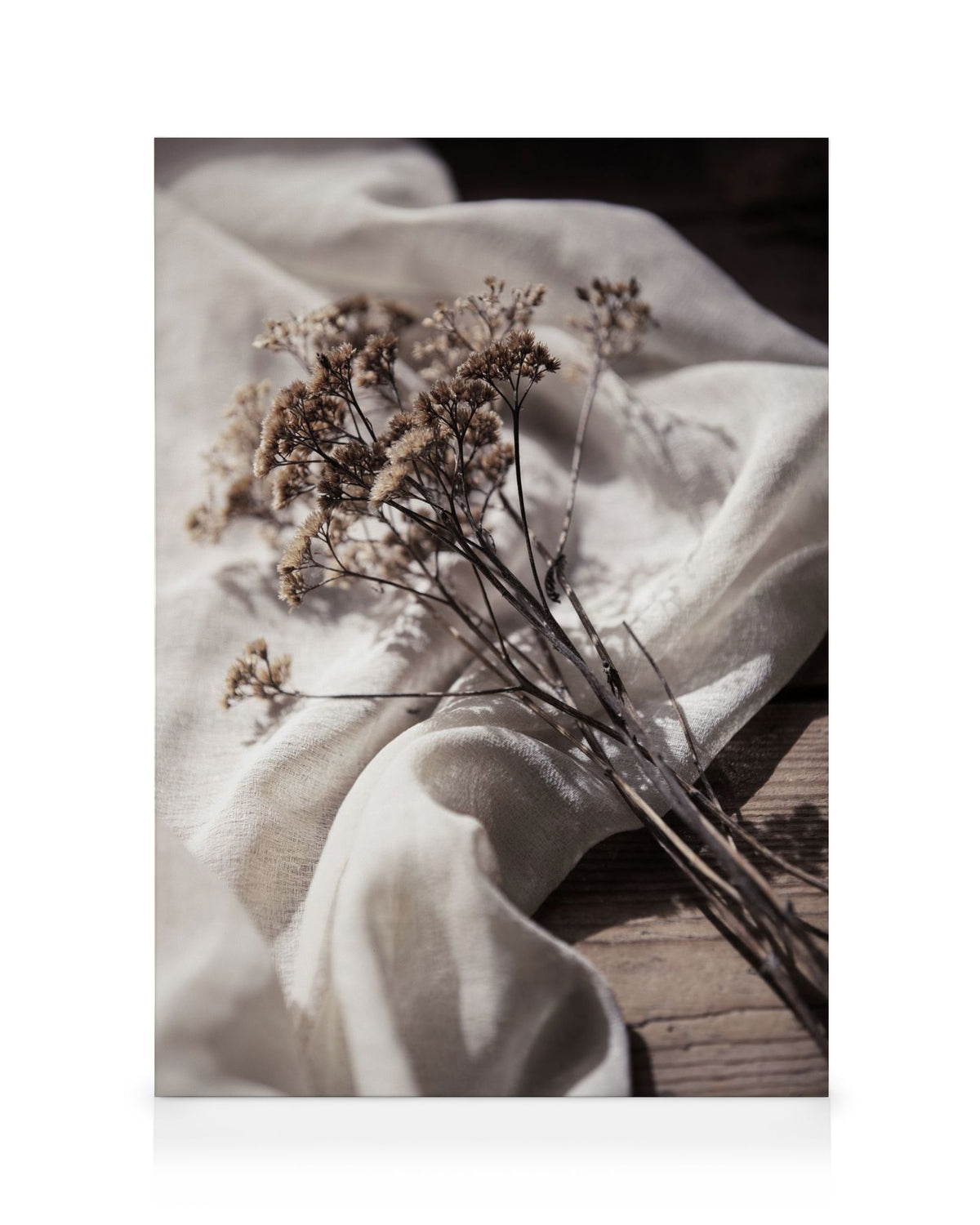 Dried Bed Canvas print