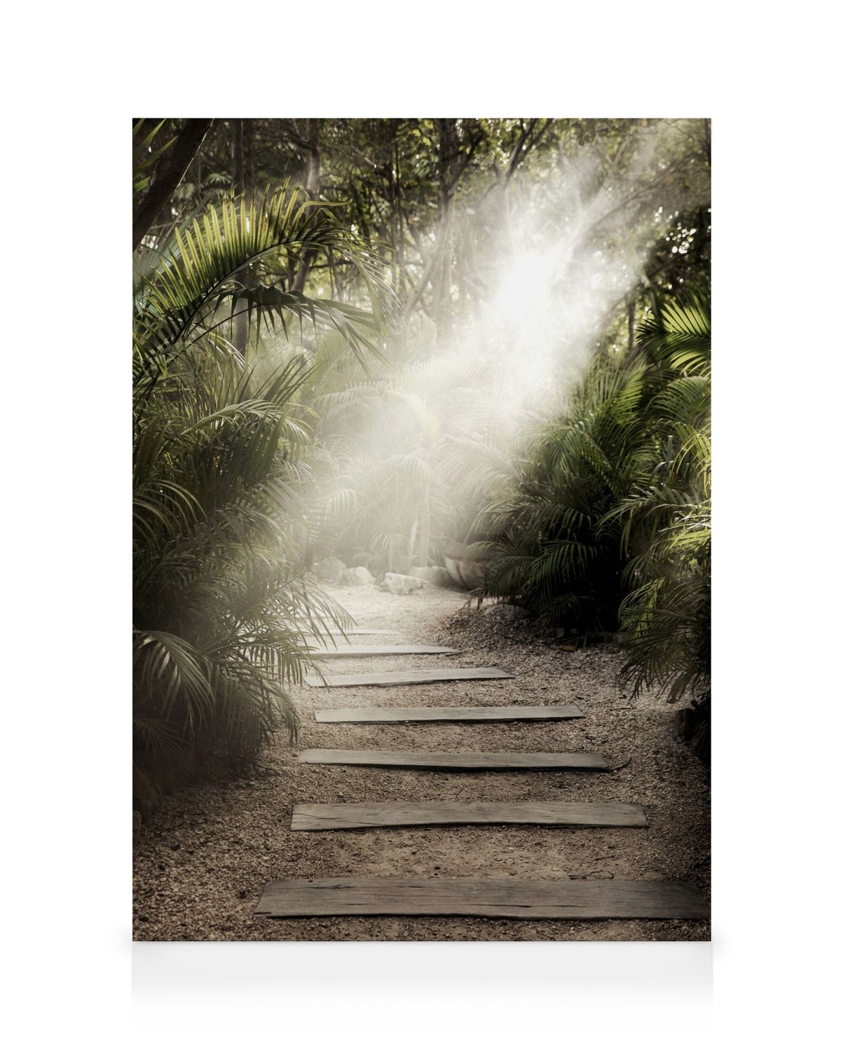 Secret Path Canvas print