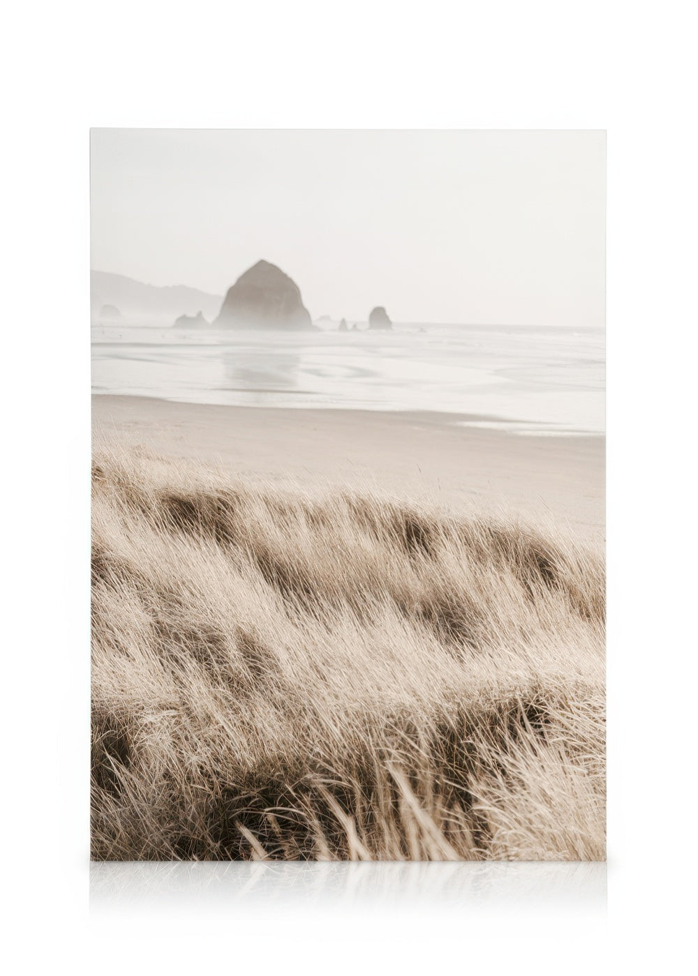 Morning Beach Canvas print