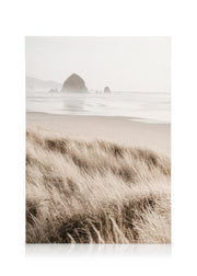 Morning Beach Canvas print