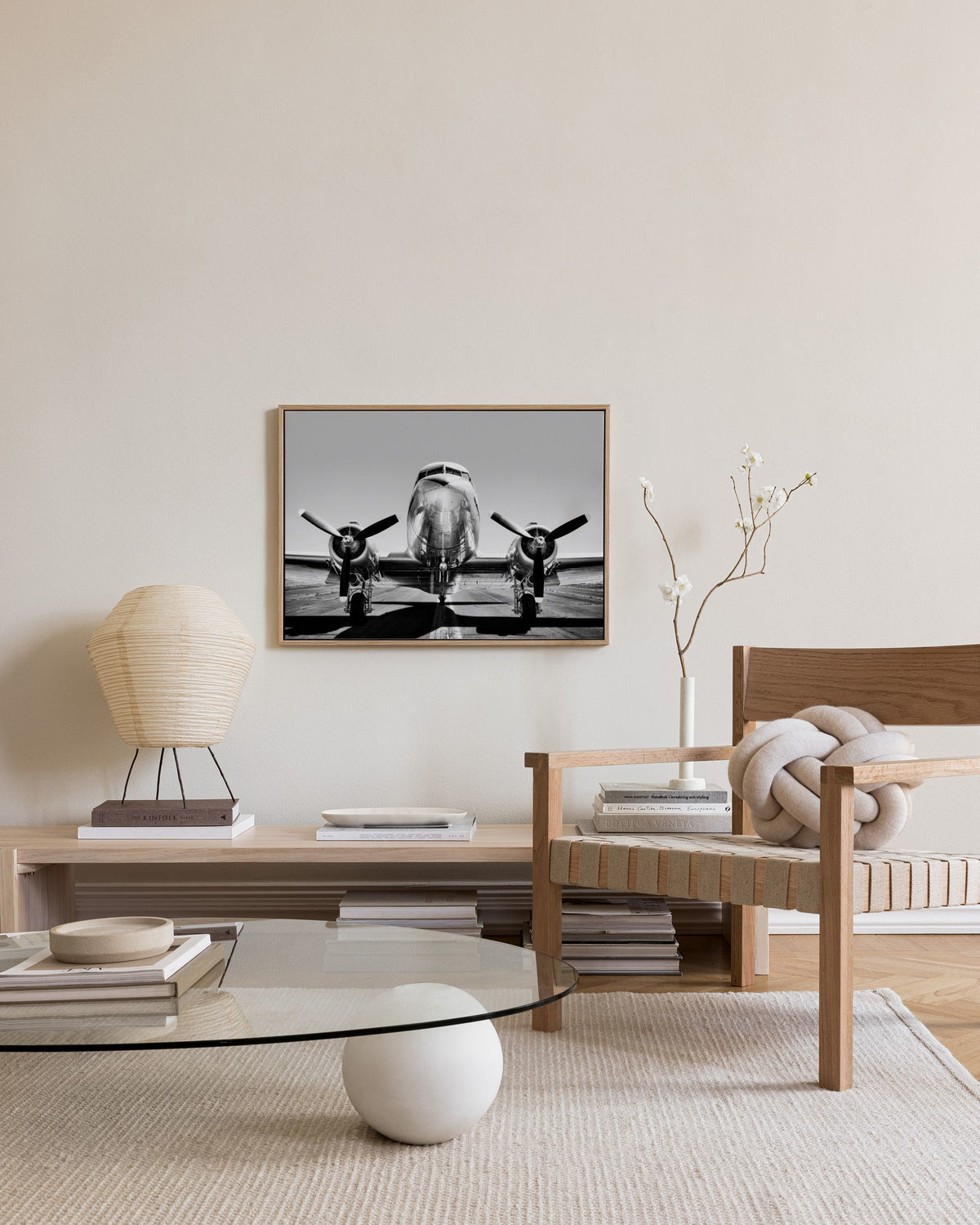Vintage Airplane Canvas print