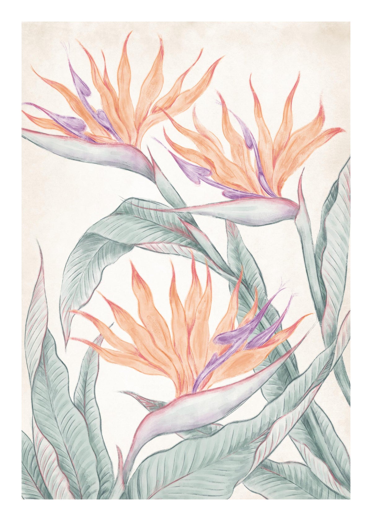 Birds of Paradise Painting Print