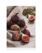 Fresh Fig Canvas print